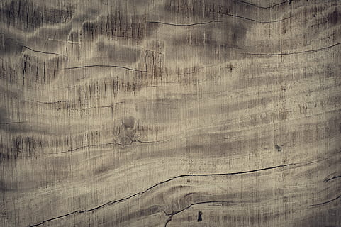 tèxtil gris, resum, antiguitat, teló de fons, fons, pissarra, marró, edifici, fusteria, primer pla, color, fosc, decoració, decoratiu, disseny, sec, pis, gra, grunge, fusta dura, casa, interior, fusta, macro, material, natural, naturalesa, roure, vell, textura, cap gent, marc complet, planta, creixement, dia, a l'aire lliure, patró, material de fusta, gra de fusta, aspre, tauler, a l'interior, sòls, arbre, resistent, brut, efecte texturat, 4K, CC0, domini públic, lliure de regalies