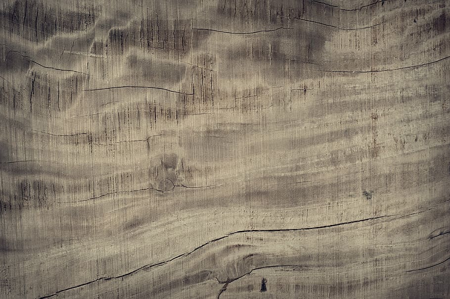 tèxtil gris, resum, antiguitat, teló de fons, fons, pissarra, marró, edifici, fusteria, primer pla, color, fosc, decoració, decoratiu, disseny, sec, pis, gra, grunge, fusta dura, casa, interior, fusta, macro, material, natural, naturalesa, roure, vell, textura, cap gent, marc complet, planta, creixement, dia, a l'aire lliure, patró, material de fusta, gra de fusta, aspre, tauler, a l'interior, sòls, arbre, resistent, brut, efecte texturat, 4K