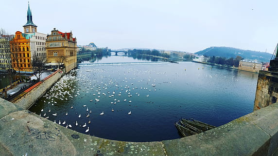 Praha, elv, bro, arkitektur, bygget struktur, vann, bygge eksteriør, by, natur, himmel, dag, bygning, reisemål, bybildet, ingen folk, høy vinkel visning, utendørs, reise, transport, 5K, CC0, offentlig domene, opphavsrett gratis