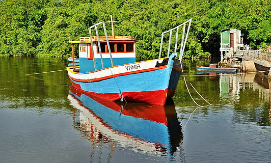 เรือ, การสะท้อน, rio, น้ำ, เรือเดินทะเล, โหมดการขนส่ง, การขนส่ง, จอดอยู่, ต้นไม้, ริมน้ำ, วัน, ธรรมชาติ, ปลูก, ทะเลสาป, ไม่มีคน, ความเงียบสงบ, กลางแจ้ง, ความงามในธรรมชาติ, สีเขียว, ฉากที่เงียบสงบ, การท่องเที่ยว, เรือตกปลา, ทอดสมอ, 2K, CC0, โดเมนสาธารณะ, ค่าลิขสิทธิ์ฟรี