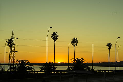 posta de sol, sol, paisatge, cel, Palmera, silueta, arbre, cap gent, naturalesa, planta, clima tropical, bellesa a la natura, electricitat, tranquil·litat, color taronja, escenics - natura, cable, escena tranquil·la, creixement, a l'aire lliure, línia elèctrica, còpia espai, palmera de coco, Font d'alimentació, 5K, CC0, domini públic, lliure de regalies