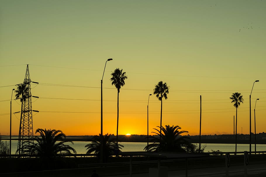 posta de sol, sol, paisatge, cel, Palmera, silueta, arbre, cap gent, naturalesa, planta, clima tropical, bellesa a la natura, electricitat, tranquil·litat, color taronja, escenics - natura, cable, escena tranquil·la, creixement, a l'aire lliure, línia elèctrica, còpia espai, palmera de coco, Font d'alimentació, 5K