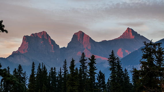 trees, brown, mountain, cloudy, sky, pine trees, planted, forest, tree, sunset, sunrise, sunlight, glow, red, blue, green, haze, smoke, canada, albertum, canmore, scenics - nature, beauty in nature, cloud - sky, landscape, environment, land, nature, plant, mountain range, coniferous tree, pine tree, no people, tranquility, tranquil scene, non-urban scene, pine woodland, outdoors, mountain peak, 4K, CC0, public domain, royalty free