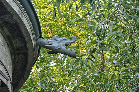 gutter, gargoyle, decorating, artistic, architecture, the art of, ornament, sculpture, decoration, plant, growth, tree, nature, day, green color, leaf, plant part, art and craft, hand, outdoors, statue, human body part, focus on foreground, representation, human hand, low angle view, branch, 4K, CC0, public domain, royalty free