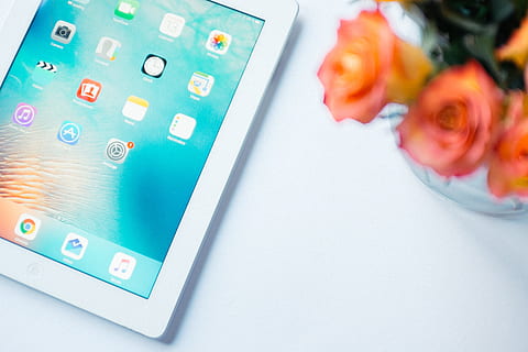 ipad a růže, ipad, růže, objekty, technologie, počítače Apple, Internet, Dotyková obrazovka, bezdrátové technologie, počítač, digitální tablet, nikdo, detail, chytrý telefon, sdělení, telefon, obvodová deska, počítačový čip, počítačové vybavení, kvetoucí rostlina, spojení, uvnitř, květ, vysoký úhel pohledu, podnikání, stálý život, symbol, obrazovka, jeden objekt, svěžest, klávesnice, stiskněte tlačítko, elektrické zařízení, tyrkysové barvy, 4K, CC0, veřejná doména, bez autorských práv