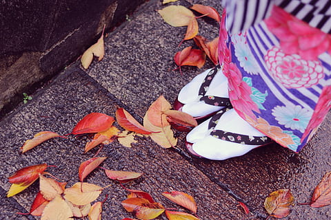 traditional, woman, outfit, Japanese, leaf, autumn, nature, multi Colored, red, outdoors, high angle view, day, adult, people, plant part, no people, change, close-up, dry, leaves, still life, footpath, falling, pattern, flower, animal wildlife, beauty in nature, 1080P, CC0, public domain, royalty free