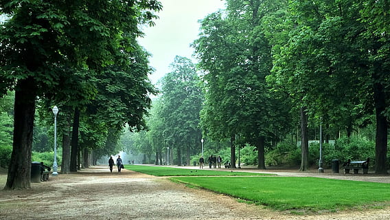 parc, des arbres, du repos, arbre, plante, couleur verte, croissance, la nature, journée, Vrais gens, beauté dans la nature, Activité de loisir, la voie à suivre, vue arrière, direction, Hommes, modes de vie, en marchant, personnes, toute la longueur, femmes, parc - espace créé par l'homme, en plein air, bordé d'arbres, 1080P, CC0, domaine public, libre de droits
