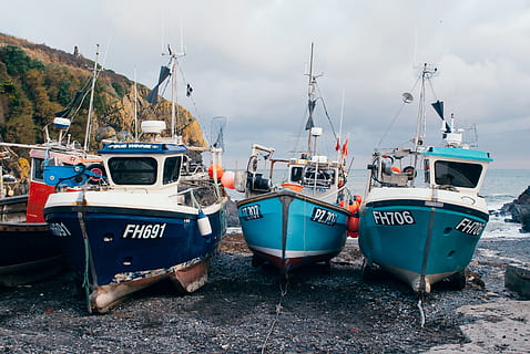Fischerboote, Industrie, Wasserfahrzeug, Hafen, Meer, Fischerboot, Wasser, kommerzielles Dock, festgemacht, Yachthafen, Trawler, Fischereiindustrie, draußen, Seebrücke, Küste, Farbbild, Transport, Tag, keine Leute, Transportmittel, Himmel, Strand, Natur, Text, Land, westliche Schrift, wolke - himmel, Segelboot, 2K, CC0, gemeinfrei, lizenzfrei