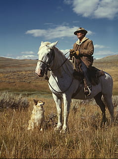homem, vestindo, Castanho, jaqueta de aviador, equitação, cavalo, ao lado, sentado, cão, panorama, 1942, céu, nuvens, rancheiro, natureza, lado de fora, planícies, grama, escova, país, campo, ao ar livre, animal, cena rural, cavalgando, pessoas, temas animais, mamífero, doméstico, animais domésticos, vertebrado, pets, pecuária, um animal, animais selvagens, terra, dia, uma pessoa, animal de trabalho, pessoas reais, 1080P, CC0, domínio público, royalty free