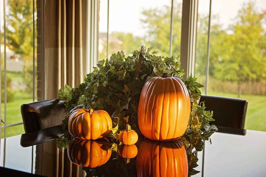 græskar, top, glasbord, efterår, bord, morgen, taksigelse, dekoration, sæson, halloween, november, ferie, mad og drikke, mad, vindue, indendørs, ingen mennesker, natur, grøntsag, dag, friskhed, plante, fokus på forgrunden, orange farve, sund kost, vækst, arkitektur, fest, 5K