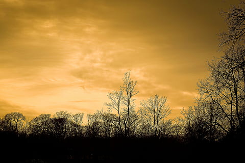 Puut, talvi-, metsä, luonto, maisema, mieliala, pilviä, taivas, sininen, sinitaivas, pilvinen, eteenpäin, valaistus, kirkas, Kahl, manicuring, väri-, kasvi, värikäs, myrskypilvet, synkkä, tumma, iltarusko, auringonlasku, ilta taivas, Abendstimmung, iltahämärä, siluetti, punainen, hämärä, oranssi, laskeva aurinko, pilvi - taivas, puu, kauneus luonnossa, maisemat - luonto, oranssi väri, tyyneys, rauhallinen kohtaus, maa, ei ihmisiä, ympäristö, dramaattinen taivas, ala, auringonvalo, ulkona, 4K