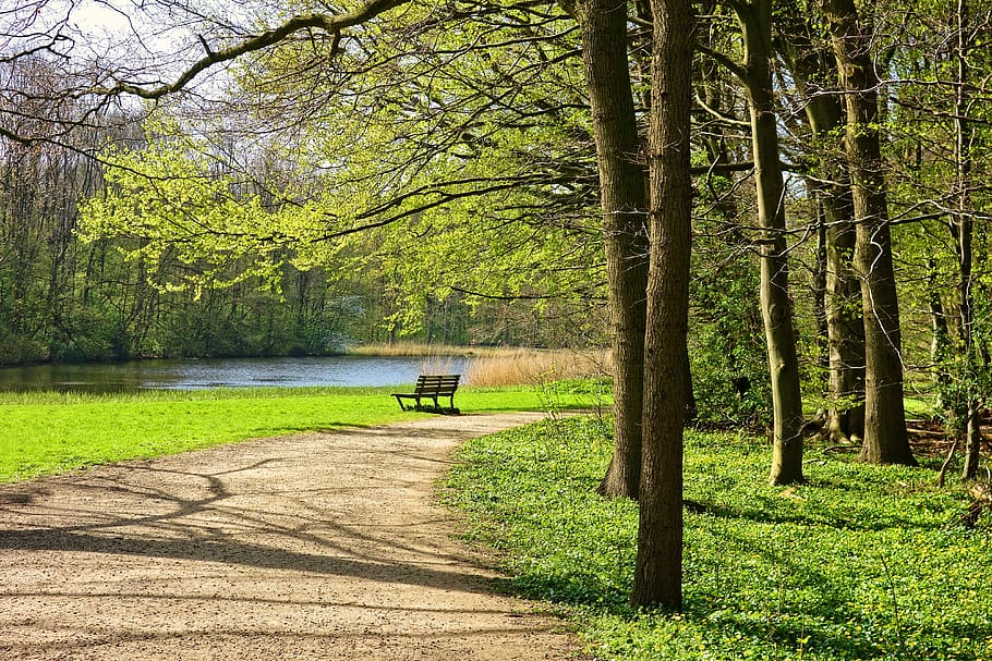leeren, Straße, Sitzbank, gegenüber, Karosserie, Wasser, tagsüber, Park, Pfad, Bank, Bäume, Gras, See, Landschaft, draußen, szenisch, still, Entspannung, friedlich, heiter, Frühling, Baum, Pflanze, Transport, Natur, Baumstamm, Wachstum, Land, grüne Farbe, Kofferraum, Transportmittel, Tag, Ruhe, Schönheit in der Natur, Landfahrzeug, Ast, Sonnenlicht, ruhige Szene, keine Leute, Parkbank, 4K
