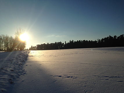vinterlige, natur, himmel, ro, rolig scene, sollys, skønhed i naturen, træ, scenics - natur, sol, solstråle, solnedgang, plante, linseflare, idyllisk, jord, ikke-urbane scene, ingen mennesker, skyfri himmel, vand, kopiere plads, udendørs, lyse, 2K, CC0, offentligt domæne, royaltyfrie