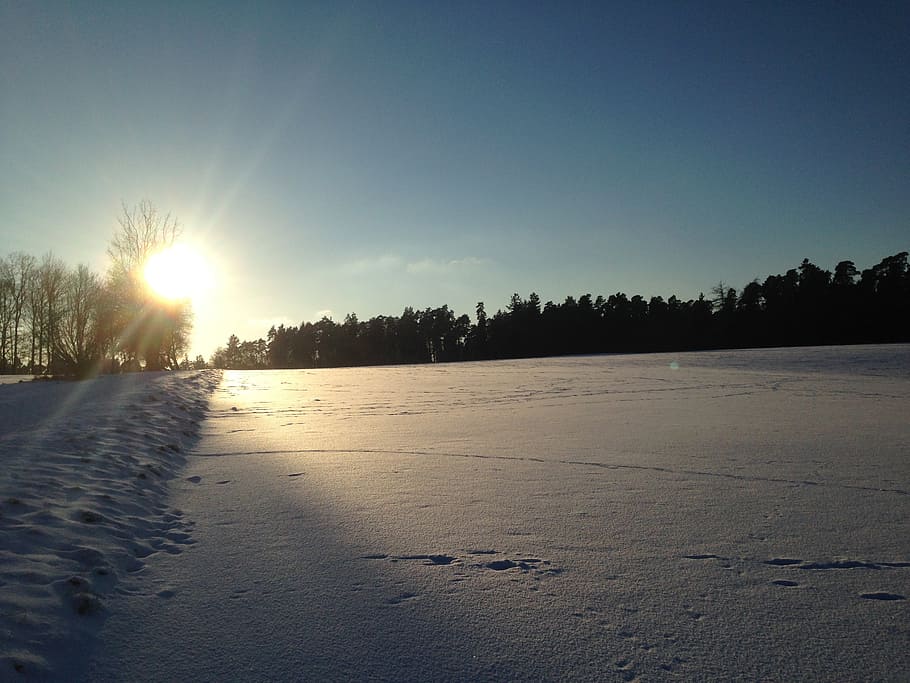 vinterlige, natur, himmel, ro, rolig scene, sollys, skønhed i naturen, træ, scenics - natur, sol, solstråle, solnedgang, plante, linseflare, idyllisk, jord, ikke-urbane scene, ingen mennesker, skyfri himmel, vand, kopiere plads, udendørs, lyse, 2K