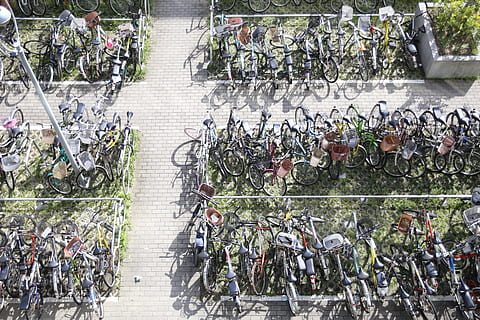 Fahrrad, leeren, schießen, Straße, leerer Trieb, große gruppe von menschen, in einer Reihe, Tag, draußen, Menge, Menschen, die Architektur, Pflanze, Stadt, Natur, Landfahrzeug, gebaute Struktur, High Angle View, Wachstum, Transport, keine Leute, Gebäudehülle, Transportmittel, Fülle, Parkplatz, Geländer, 5K, CC0, gemeinfrei, lizenzfrei