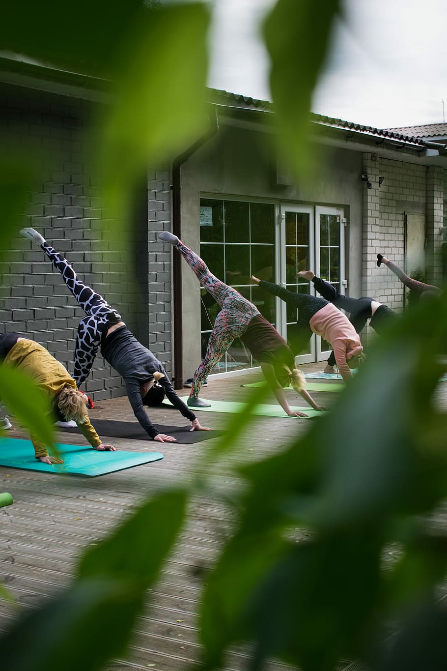 kvinde, dyrke motion, rutine, gruppe, yoga, bygning, mennesker, klasse, positur, plante, blad, grøn, bokeh, sløring, vindue, glas, sportstid, lørdag, person, human, liv, livsstil, sund livsstil, arkitektur, bygget struktur, rigtige mennesker, bygning udvendig, dag, natur, selektiv fokusering, herrer, en person, dygtighed, fritidsaktivitet, fuld længde, sport, grøn farve, udendørs, fokusere på baggrund, 5K