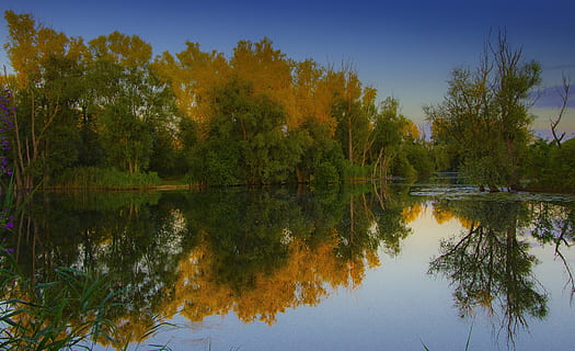 Bäume, Reflexion, Landschaft, Wasser, ländlich, Herbst, Szene, Natur, See, Baum, draußen, szenen, ruhige Szene, Wald, Fluss, Schönheit in der Natur, Himmel, Teich, Blau, Sommer-, Pflanze, Ruhe, Szenen - Natur, keine Leute, Wachstum, Nicht-städtische Szene, Tag, Ufergegend, Reflexionssee, 4K, CC0, gemeinfrei, lizenzfrei
