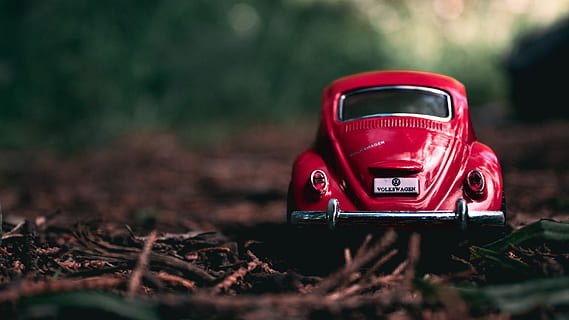 rood, volkswagen kever schaalmodel, grond, fusca, abstract, auto, wijze van transport, vervoer, motorvoertuig, boom, land-, natuur, Bos, dag, fabriek, geen mensen, landvoertuig, selectieve aandacht, communicatie, buitenshuis, teken, bos-, focus op de voorgrond, tekst, klein, 4K, CC0, publiek domein, royaltyvrij