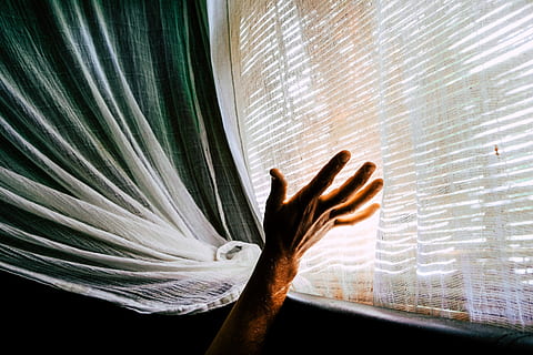 person, holding, white, sheer, textile, raising, hand, beside, window, light, bed, reach, human hand, curtain, human body part, one person, indoors, close-up, day, sunlight, unrecognizable person, real people, transparent, nature, one animal, touching, plant, finger, human limb, 5K, CC0, public domain, royalty free