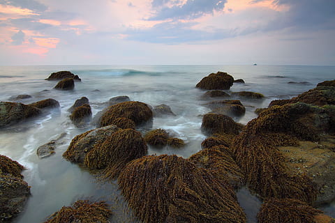 mar, paisatge, naturalesa, cel, platja, núvols, molsa, oceà, a l'aire lliure, roques, paisatge marí, vora del mar, Riba, aigua, onades, horitzó sobre l’aigua, escenics - natura, bellesa a la natura, horitzó, posta de sol, núvol - cel, terra, tranquil·litat, rock, escena tranquil·la, idíl·lic, sòlid, cap gent, escena no urbana, litoral rocós, 1080P, CC0, domini públic, lliure de regalies