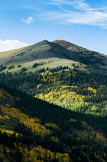 montagna, alberi, giorno, verde, giallo, fiori, collina, pendio, nube, cielo, albero, foresta, bosco, pioppo tremolo, natura selvaggia, legna, paesaggio, bellissimo, bellezza nella natura, scenics - natura, ambiente, scena tranquilla, la tranquillità, pianta, terra, nuvola - cielo, nessuno, natura, scena non urbana, idilliaco, crescita, colore verde, campo, all'aperto, 5K, CC0, dominio pubblico, privo di copyright