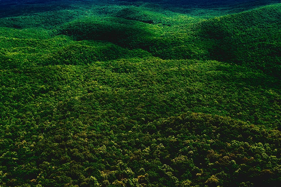 aereo, fotografia, verde, montagna, foresta, alberi, boschi, paesaggio, panoramico, Ohio, Stati Uniti d'America, natura, all'aperto, nazione, campagna, rurale, natura selvaggia, colore verde, agricoltura, bellezza nella natura, nessuno, giorno, pianta, crescita, la tranquillità, scena tranquilla, vista dall'alto, scenics - natura, ambiente, terra, fotogramma intero, fogliame, fogliame lussureggiante, albero, sfondi, siepe, 1080P