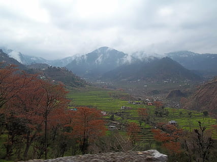 Montagne, Inde, himalayan, nuage, paysage, colline, paysages - nature, beauté dans la nature, environnement, scène tranquille, plante, tranquillité, terre, arbre, chaîne de montagnes, nuage - ciel, la nature, ciel, personne, scène non urbaine, journée, brouillard, scène rurale, en plein air, changement, 4K, CC0, domaine public, libre de droits