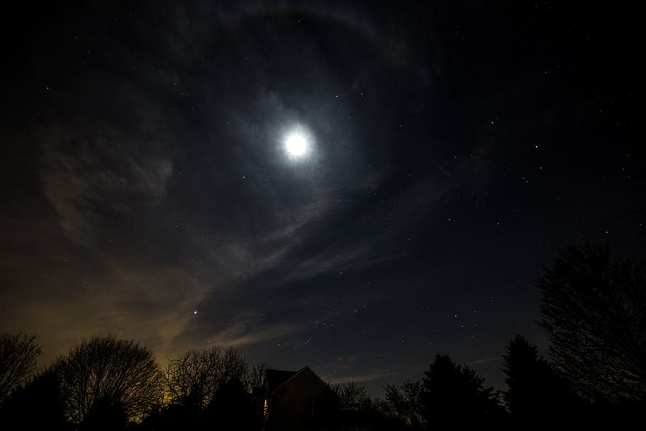 lluna, cel nocturn, astronomia, celestial, nit, lluna plena, cel, naturalesa, llum de la lluna, arbre, escena tranquil·la, fosc, estrella - espai, espai, escenics - natura, bellesa a la natura, planta, tranquil·litat, cap gent, silueta, vista d’angle baix, galàxia, a l'aire lliure, 5K