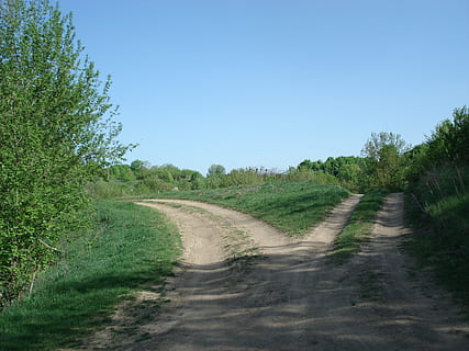 two empty crossroads, empty, crossroads, roads, split, fork, divided, dirt, decision, farm track, rural, field path, dirt road, country lane, summer, road, clear sky, landscape, nature, tree, plant, direction, sky, transportation, environment, the way forward, tranquility, no people, day, tranquil scene, land, footpath, grass, scenics - nature, outdoors, diminishing perspective, 2K, CC0, public domain, royalty free