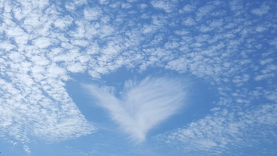 fotografia de nubes en forma de corazon, nubes, nublado, cielo, raro, forma de corazón, azul, nube - cielo, el color blanco, belleza en la naturaleza, naturaleza, nadie, mullido, tranquilidad, antecedentes, día, al aire libre, paisajes - naturaleza, blandura, escena tranquila, idílico, resumen, invierno, pureza, 5K, CC0, dominio público, libre de derechos