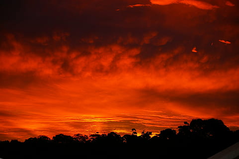 silhouette, trees, golden, hourse, sunset, red, horizontal, clouds, sunlight, orange, beautiful, evening, outdoor, urban, nature, dusk, orange Color, sky, sun, cloud - Sky, beauty in nature, tree, dramatic sky, scenics - nature, no people, tranquility, cloudscape, environment, tranquil scene, plant, idyllic, landscape, outdoors, dark, ominous, romantic sky, bright, 2K, CC0, public domain, royalty free