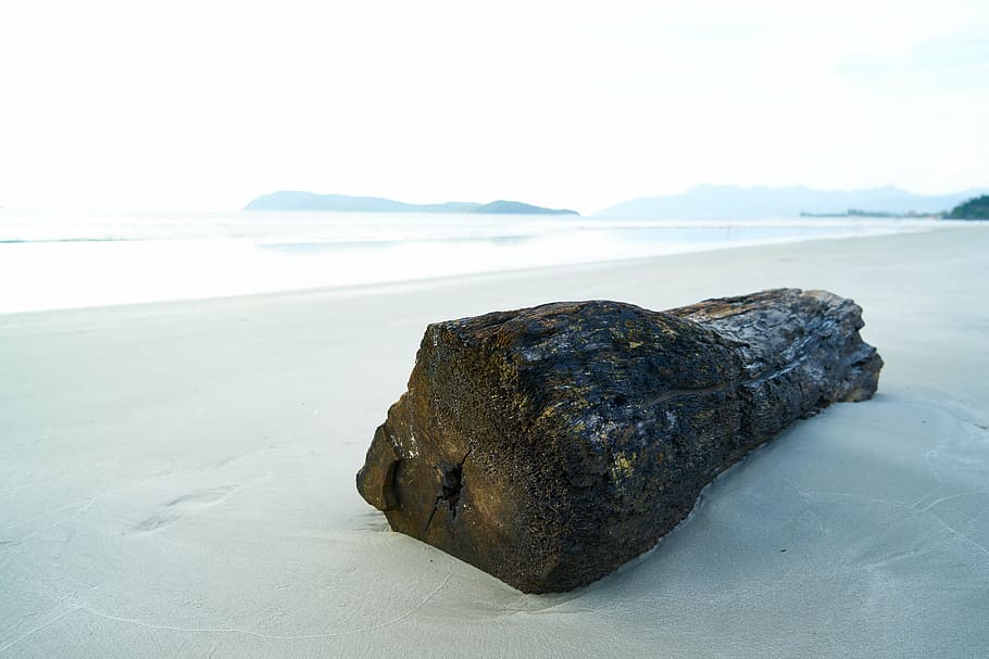 Brun, drift log, kyst, dagtimerne, træ, se, ocean, landskab, sommer, vand, natur, tropisk, himmel, strand, ø, vandret, struktur, udendørs, tømmer, hav, ingen mennesker, dag, skønhed i naturen, dyre temaer, jord, ro, scenics - natur, klippe, rolig scene, rock-objekt, solid, sand, idyllisk, horisont over vand, horisont, 8K