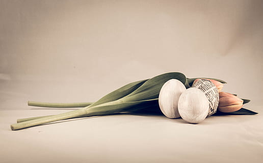 Stillleben, Ostern, Ostereier, Ostern Hintergrund, Zeitung, Kunst und Handwerk, handgemalt, Tulpe, matt, retro, Dekoration, weiße Eier, Eier basteln, Blume, drinnen, Essen und Trinken, Studioaufnahme, kopieren sie platz, Wohlbefinden, gesundes Essen, Frische, eine Person, Erwachsene, Lebensmittel, hinlegen, Entspannung, Frau, Pflanze, Natur, Kleidung, Einfachheit, ausgeschnitten, Luxus, 4K, CC0, gemeinfrei, lizenzfrei