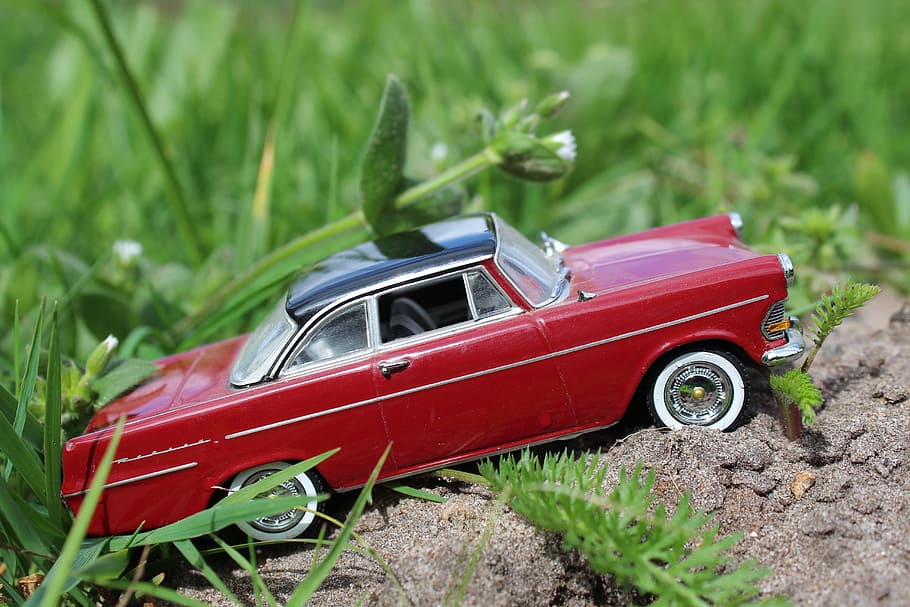 automàtic, opel, oldtimer, nostàlgia, rekord p2, opel rekord, article de col·leccionista, cotxe, vermell, transport, color verd, cap gent, herba, manera de transport, automòbil, vehicle terrestre, joguina, cotxe de joguina, dia, enfocament selectiu, estil retro, planta, naturalesa, centrar-se en primer pla, camp, cotxe d'època, 5K