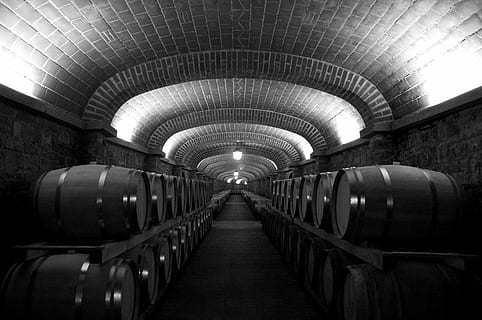 foto en escala de grises, bodega, Botti, techo, luces, vino, en blanco y negro, antiguo, toscana, Italia, geometrías, iluminado, adentro, barril, arquitectura, gran grupo de objetos, en una fila, alcohol, cilindro, equipo de iluminación, beber, refresco, vinificación, barril de vino, almacén, comida y bebida, lagar, envase, nadie, arco, perspectiva decreciente, 4K