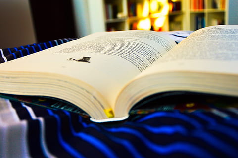 bed, book, paper, reading, knowledge, page, publication, close-up, indoors, activity, education, open, learning, no people, focus on foreground, blue, selective focus, expertise, still life, communication, text, studying, 5K, CC0, public domain, royalty free