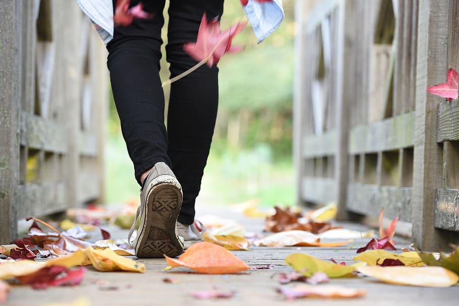 uomo, a piedi, lungo, di legno, ponte, caduta, appassito, le foglie, foglia, autunno, scarpa, jeans, viaggio, vicolo, sezione bassa, parte del corpo umano, una persona, giorno, adulto, parte del corpo, parte vegetale, gamba umana, stili di vita, natura, donne, attività di svago, capi di abbigliamento, persone reali, all'aperto, abbigliamento casual, modificare, arto umano, 5K