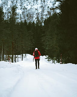 henkilö, punainen, huppari, reppu, kävely, woods, talvikausi, metsään, talvi-, kausi, lumi, ulkona, Urheilu, luonto, vaellus, ihmiset, vuori, miehet, terveiden elämäntapojen, seikkailu, käyttäessään, aktiviteetti, virkistystoimintaa, aikuinen, elämäntavat, toiminta, polku, naiset, kylmä lämpötila, täyspitkä, metsä, takaa, puu, oikeita ihmisiä, kasvi, maa, vapaa-ajan toiminta, vaatetus, yksi henkilö, päällyste, päivä, lämmin vaatetus, 2K, CC0, public domain, rojaltivapaa