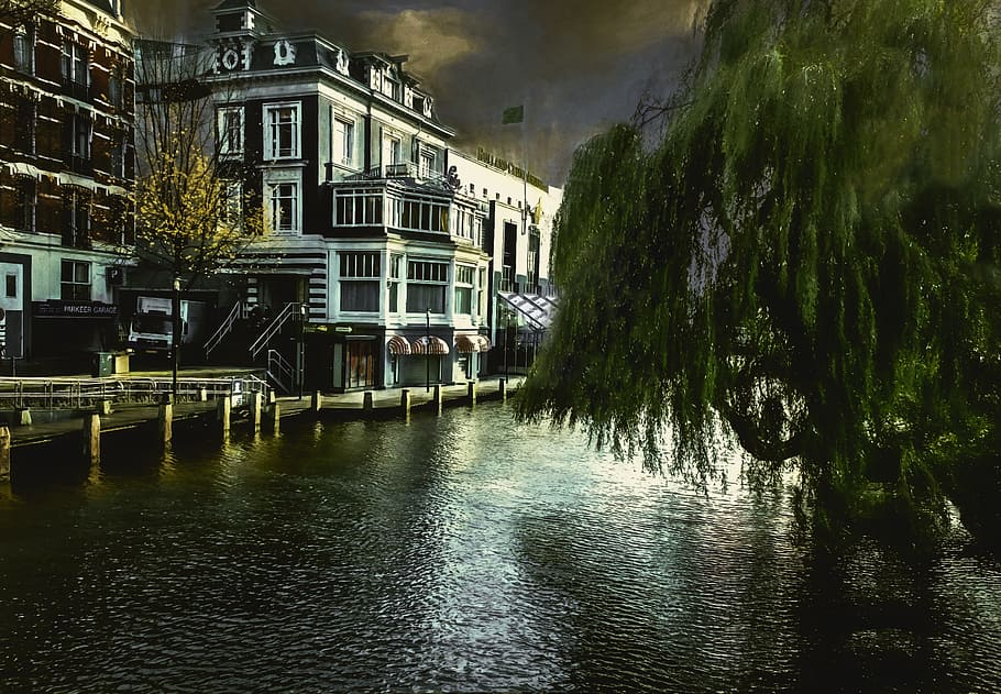 amsterdam, fiume, albero, costruzione, olandese, europeo, Olanda, acqua, canale, architettura, Casa, riflessione, struttura costruita, esterno dell'edificio, posizioni di viaggio, scena urbana, architettura ed edifici, notte, nessuno, lungomare, pianta, quartiere residenziale, natura, giorno, città, all'aperto, connessione, 4K