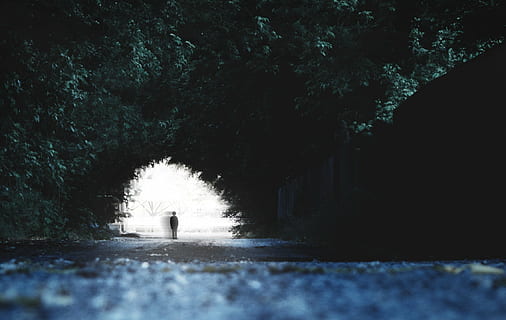 person, standing, gray, concrete, road, cave, ghostly, dark, cavern, deep, water, nature, no people, outdoors, day, tree, beauty in nature, plant, motion, the way forward, architecture, transportation, direction, arch, built structure, tunnel, growth, land, illuminated, flowing water, surface level, 1080P, CC0, public domain, royalty free
