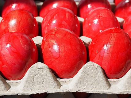 ous de Pasqua, ou, vermell, caixa d’òvuls, hartgekocht, dur, Pasqua, de colors, colorit, color, menjar i beguda, menjar, primer pla, cap gent, frescor, marc complet, benestar, natura morta, alimentació saludable, gran grup d'objectes, fruita, a l'interior, fons, arranjament, dia, en fila, costat a costat, abundància, mercat, safata, 4K, CC0, domini públic, lliure de regalies