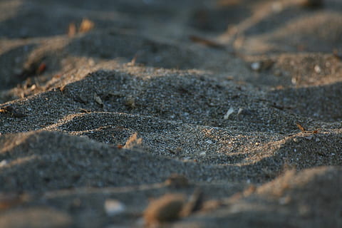 sand, macro, dune, beach, backgrounds, no people, land, nature, day, selective focus, solid, close-up, outdoors, environment, textured, rock - object, rock, full frame, water, landscape, tranquility, animals in the wild, beauty in nature, pollution, 2K, CC0, public domain, royalty free
