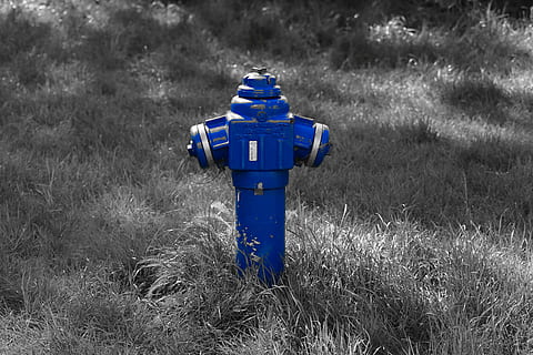 hydrant, modrý, tráva, rostlina, nikdo, přistát, Příroda, pole, požární hydrant, den, bezpečnostní, kov, ochrana, venku, zaměřit se na popředí, klid, detail, nehody a katastrofy, růst, technologie, bezpečnost, stříbrné barvy, 5K, CC0, veřejná doména, bez autorských práv