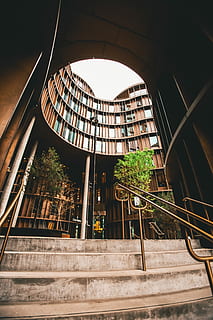 verde, leafed, alberi, circondato, grattacielo, costruzione, foglia, in vaso, piante, Il prossimo, le scale, dentro, architettura, il giro, passaggi, calcestruzzo, struttura costruita, esterno dell'edificio, Inquadratura dal basso, scala, ringhiera, nessuno, giorno, gradini e scale, natura, finestra, città, luce del sole, pianta, all'aperto, moderno, forma, design, 5K, CC0, dominio pubblico, privo di copyright
