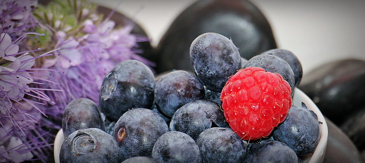 foto ravvicinata, mirtillo, bianca, ceramica, ciotola, mirtilli, lampone, frutta, vitamine, blu, delizioso rosso, dolce, salutare, vaccinium, cibo, mangiare, bacca, frutti di bosco, bacca blu, bacca rossa, estate, frisch, pietre, nero, Pietra nera, conchiglia, tazza bianca, mirtilli in una ciotola, fiorire, fioritura, fiore viola, primavera, rosso, nessuno, giorno, avvicinamento, all'aperto, architettura, mangiare sano, cibo e bevande, benessere, freschezza, grande gruppo di oggetti, natura, natura morta, messa a fuoco selettiva, maturo, in casa, uno stile di vita sano, viola, 2K, CC0, dominio pubblico, privo di copyright