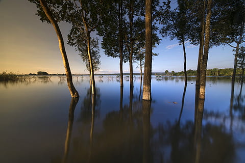 trees, body, water, sunset, outdoor, tree, background, nice, natural, green, beauty, sky, full color, plant, travel, spring, season, scenery, outdoors, neck, single, the sun, reflect, impressive, the park, tropical, forest, scene, autumn, scenic, wave, the morning, alone, sunrise, sad, tranquility, beauty in nature, tranquil scene, reflection, lake, scenics - nature, tree trunk, idyllic, trunk, no people, nature, non-urban scene, growth, standing water, reflection lake, 8K, CC0, public domain, royalty free