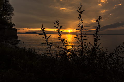 západ slunce, jezero konstanty, langenargen, zrcadlení, überlingen, zlatý, modrý, romantika, soumrak, voda, abendstimmung, nebe, odraz, večer, krajina, panoráma, klid, slunce, mrak - nebe, krása v přírodě, klidné scény, scenics - příroda, rostlina, Příroda, silueta, nikdo, moře, růst, mimoměstské scény, oranžová barva, idylický, venku, 5K, CC0, veřejná doména, bez autorských práv