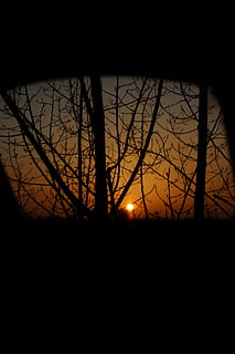 solnedgang, mørk, skygge, sol, spejl, afspejling, silhuet, træ, nat, sort farve, natur, baggrundsbelyst, baggrunde, bare træ, ingen mennesker, måne, himmel, ro, scenics - natur, skønhed i naturen, rolig scene, orange farve, afdeling, idyllisk, plante, udendørs, ikke-urbane scene, 5K, CC0, offentligt domæne, royaltyfrie