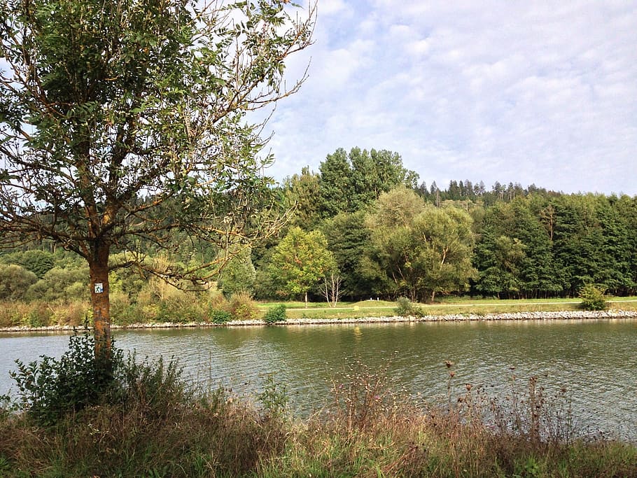 Landschaft, Himmel, Blau, Wolken, Winter, Sonne, sonnig, Bäume, Oberpfalz, Wasser, Donau, Natur, Baum, See, draußen, Wald, Sommer-, Fluss, Pflanze, Ruhe, Schönheit in der Natur, Szenen - Natur, ruhige Szene, wolke - himmel, Tag, Wachstum, grüne Farbe, keine Leute, Nicht-städtische Szene, Gras, idyllisch, Nadelbaum, 1080P