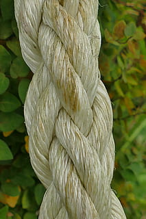 Seil, Makro, schließen, Tau, Ballaststoff, weben, Stärke, gebundener Knoten, Nahansicht, Tag, keine Leute, Fokus auf den Vordergrund, weiße Farbe, Natur, Pflanze, draußen, Schönheit in der Natur, Feder, Wachstum, ein Tier, Muster, Vogel, Weiß, Pflanzenteil, grüne Farbe, Blatt, Tierthemen, Tier, 5K, CC0, gemeinfrei, lizenzfrei